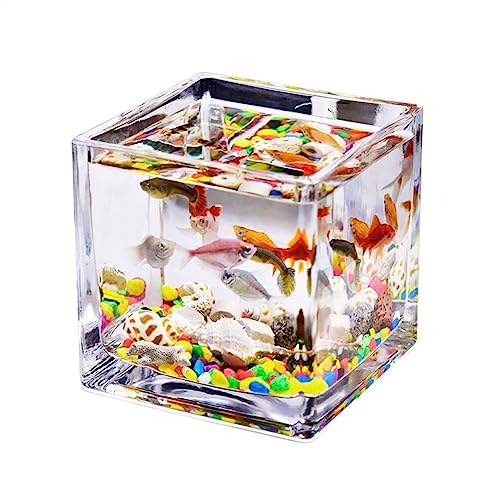 Fischschalen Aquarium Aquarium-Glas, quadratisch, verdickt, transparent, Aquarium, Arbeitsplatte, Kleiner Heimtank for Aquarien, ökologische Schildkrötenpanzer-Ornamente Mittelstücke Vase (Size : M) von EINES