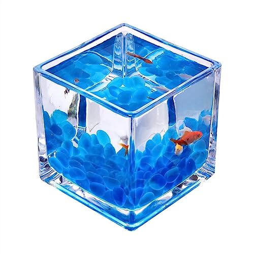 Fischschalen Aquarium Tank for Aquarien, Glas, quadratisch, verdickte Tischplatte, transparent, Kampffischtank, kleine ökologische Aquarium-Tank-Ornamente Mittelstücke Vase (Size : L) von EINES