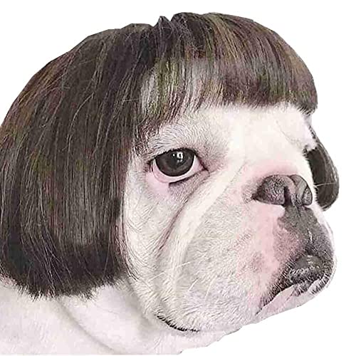 Pet Wigs Cosplay Requisiten Hund Crossdressing Haar Set Fotografie Lustige Requisiten Rock Cosplay Perücke Sänger Haarperücke Kopfbedeckung von EIRZNGXQ