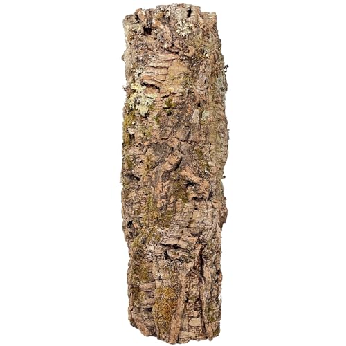 EKB-Kork Korkrinde für Terrarien oder als Deko Mind. 40 - max. 70 cm lang; Außendurchmesser: ca. 20-30 cm von EKB-Kork