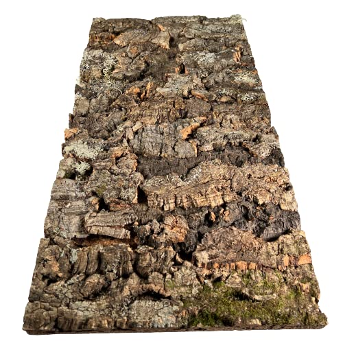 EKB-Kork Rückwand Kamari Zierkork für Terrarien (600 x 300 mm) EKB-Kork Rückwand Kamari Zierkork für Terrarien (600 x 300 mm) von EKB-Kork