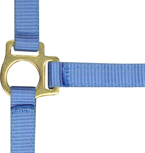 Ekkia Nylon Fohlenhalfter, 2 Fach verstellbar, Farbe:hellblau, Geschlecht:Fohlen von EKKIA