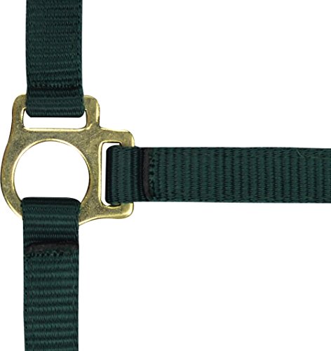 Ekkia Nylon Fohlenhalfter, 2 fach verstellbar, verschiedene Farben, Farbe:dunkelgrün, Geschlecht:Fohlen Ekkia Nylon Fohlenhalfter, 2 fach verstellbar, verschiedene Farben, Farbe:dunkelgrün, Geschlecht:Fohlen von EKKIA