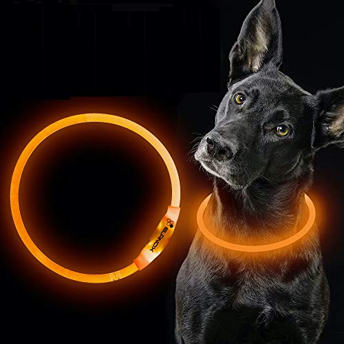 ELANOX LED Hundehalsband wiederaufladbar USB universelle Größe Leuchthalsband (orange) von ELANOX