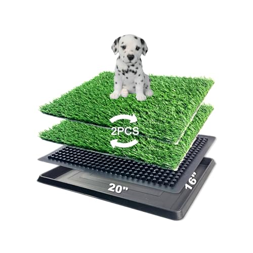 Hundegras-Pad mit Tablett, 40,6 x 50,8 cm – Haustier-Töpfchen für Hunde, künstliches Gras, Urin-Pad, Hunde-Klo, Outdoor-Rasen-Töpfchensystem für Welpentraining Hundegras-Pad mit Tablett, 40,6 x 50,8 cm – Haustier-Töpfchen für Hunde, künstliches Gras, Urin-Pad, Hunde-Klo, Outdoor-Rasen-Töpfchensystem für Welpentraining von ELLOTY