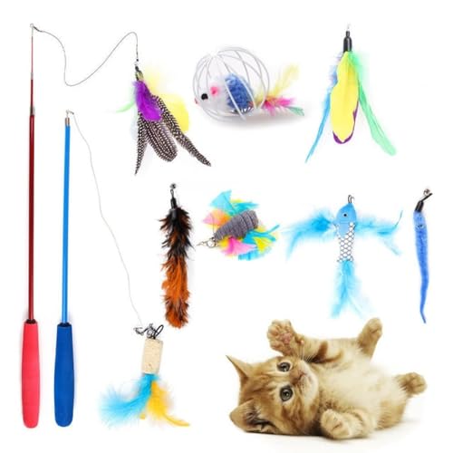 ELMAIN Katze Spielzeug Maus Form Bälle Faltbare Katze Spiel Tunnel Katze Stick Liefert Simulation Fisch Katze Zubehör 1Set I ELMAIN Katze Spielzeug Maus Form Bälle Faltbare Katze Spiel Tunnel Katze Stick Liefert Simulation Fisch Katze Zubehör 1Set I von ELMAIN