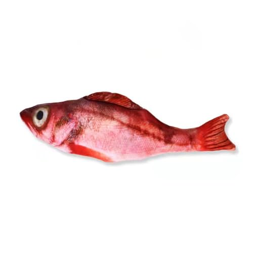 ELMAIN Katzenspielzeug Fisch Plüsch Gefüllte Kissen 20Cm Simulation Fisch Katze Spielzeug Fisch Interaktives Haustier Kauspielzeug 10Pcs 10 ELMAIN Katzenspielzeug Fisch Plüsch Gefüllte Kissen 20Cm Simulation Fisch Katze Spielzeug Fisch Interaktives Haustier Kauspielzeug 10Pcs 10 von ELMAIN