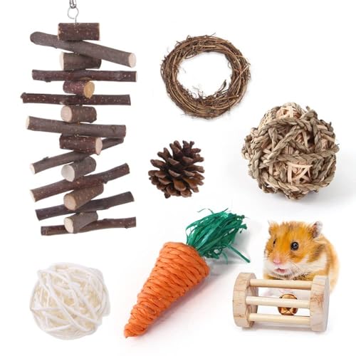 Hamsterspielzeug Hamsterspielzeug Set Hamster Kaninchen Spielzeug Haustier Meerschweinchen Papagei Spiel Molar Holzbedarf 1Set 02 Hamsterspielzeug Hamsterspielzeug Set Hamster Kaninchen Spielzeug Haustier Meerschweinchen Papagei Spiel Molar Holzbedarf 1Set 02 von ELMAIN