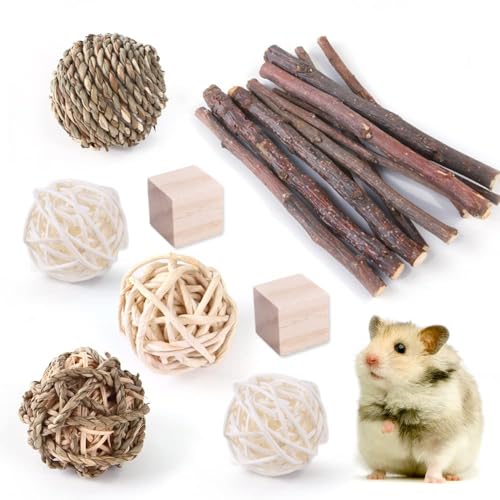 Hamsterspielzeug Hamsterspielzeug Set Hamster Kaninchen Spielzeug Haustier Meerschweinchen Papagei Spielen Molar Holzbedarf 1Set 03 Hamsterspielzeug Hamsterspielzeug Set Hamster Kaninchen Spielzeug Haustier Meerschweinchen Papagei Spielen Molar Holzbedarf 1Set 03 von ELMAIN