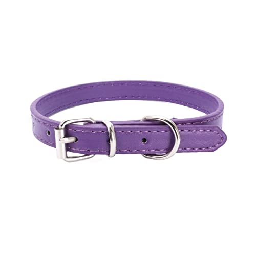 Haustierhalsband Hundehalsband Legierung Schnalle Leine Einstellbare Größe Geeignet for kleine bis mittelgroße Hunde (Color : Purple, Size : 51x2.5CM) von ELSAIL