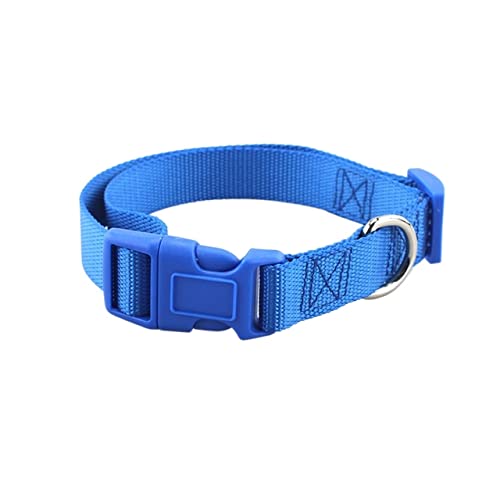 Hundehalsband aus Nylon, verstellbar, geeignet for kleine und mittelgroße Hunde (Color : Blue, Size : S) von ELSAIL