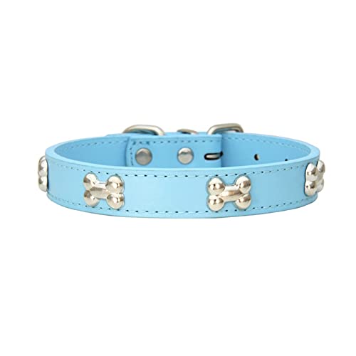 Hundehalsband for Welpen, Mops, Knochenleder, langlebiges Hundehalsband (Color : Sky Blue, Size : L) von ELSAIL