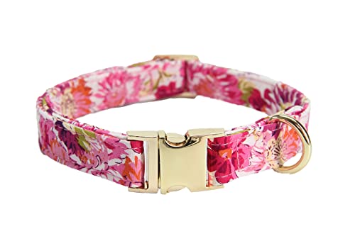 Pet Collar Anti-Loss Custom Number Tag Collar Gravierte ID-Tag-Namensschild-Schnalle-Nachricht (Color : Rose Red, Size : XS) von ELSAIL