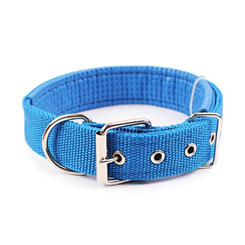 Pet Collar Komfortabler, Verstellbarer Nylonriemen, Hundehalsband, Katzenhalsband (Color : Blue, Size : S) von ELSAIL