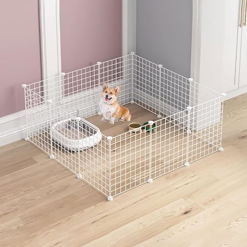 Katzengehege Katzenkäfig – Katzenkäfig, Laufstall für den Innenbereich, Katzengehege, Hundekäfige, Frettchenkäfig, Hundekäfige, leicht zu reinigen, für Frettchen, Kätzchen, Kaninchen, Kleintiere (Weiß Katzengehege Katzenkäfig – Katzenkäfig, Laufstall für den Innenbereich, Katzengehege, Hundekäfige, Frettchenkäfig, Hundekäfige, leicht zu reinigen, für Frettchen, Kätzchen, Kaninchen, Kleintiere (Weiß von ELUKHT