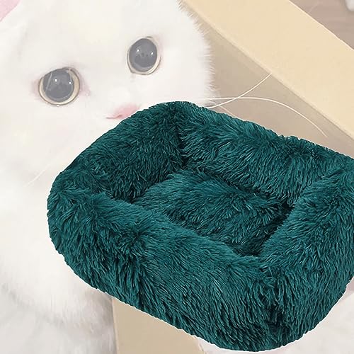 Hundematte Katzenkissen Katzenbett Donut Plüsch Hundebett Hundebett Mittelgroße Hunde Donut-Katzenbetten Für Innenbereich Mittelgroße Und Große Hunde Katzen Und Andere Haustiere ( Color : 15 , Size : Hundematte Katzenkissen Katzenbett Donut Plüsch Hundebett Hundebett Mittelgroße Hunde Donut-Katzenbetten Für Innenbereich Mittelgroße Und Große Hunde Katzen Und Andere Haustiere ( Color : 15 , Size : von ELzEy