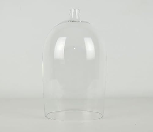 EMH Terrarium, Glas, 24 x 13,3 cm, mit Loch von EMH