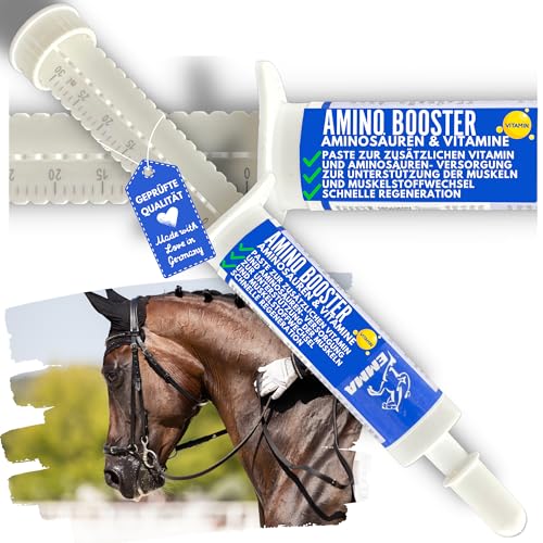 EMMA Amino Vitamin Paste I Aminosäuren Pferd mit L Carnitin Vitamin E Pferd I Vitaminpaste Aminosäuren komplex Muskelaufbau Pferde I Regeneration Muskeln ​alternativ Muskel Protein Pulver Pferde 2St von EMMA