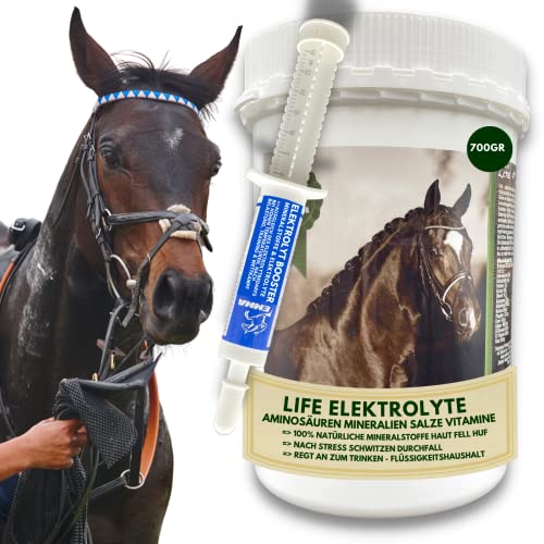 EMMA Elektrolyte Pferd Plus Aminosäuren Pferd 700gr 30ml natürliches Elektrolyt Pulver + Paste Vitaminen Amino Energy I Pferd Elektrolyte zur Unterstützung Leistung Regeneration nach Sport Durchfall von EMMA
