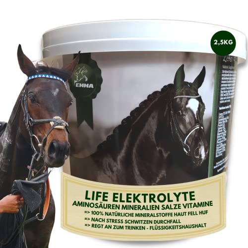 Pferde Elektrolyte Pulver + Aminosäuren komplex I Elektrolyt Pulver Kalium Natrium Calcium Magnesium Elektrolyten Aminosäuren Pferd I Elektrolyte Pferd Hydraid bei Durchfall Kotwasser Schwitzen 2,5Kg von EMMA
