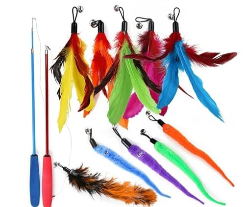 EMMALOUISESMITH 13 Stück Katzenspielzeug Set, Interaktives Katzenspielzeug Feder,Katzenangel mit 2 STK Versenkbare, 11 Katzen Spielzeug Ersatzfedern, Selbstbeschäftigung mit Feder/Bug/Fisch Glocke EMMALOUISESMITH 13 Stück Katzenspielzeug Set, Interaktives Katzenspielzeug Feder,Katzenangel mit 2 STK Versenkbare, 11 Katzen Spielzeug Ersatzfedern, Selbstbeschäftigung mit Feder/Bug/Fisch Glocke von EMMALOUISESMITH