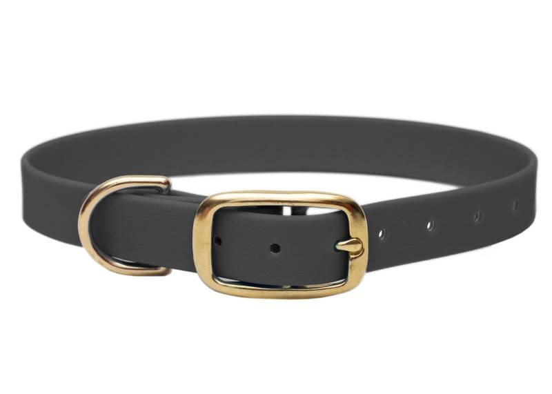 Biothane Halsband Grau M (33-40cm) / 25mm / Gold von EMMY&PEPE