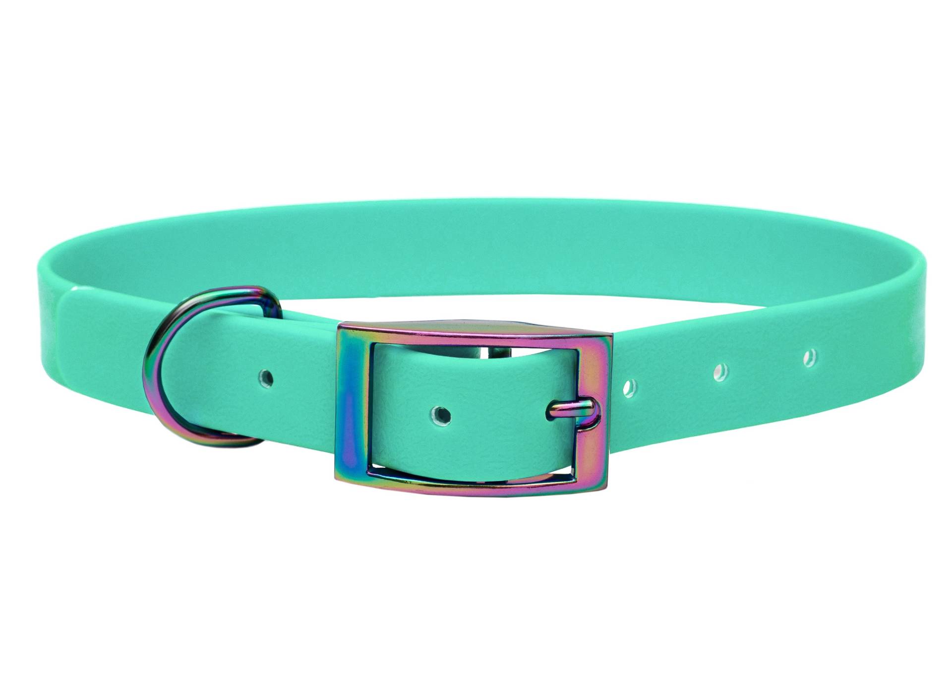 Biothane Halsband Mint L (39-49cm) / 16mm / Regenbogen von EMMY&PEPE