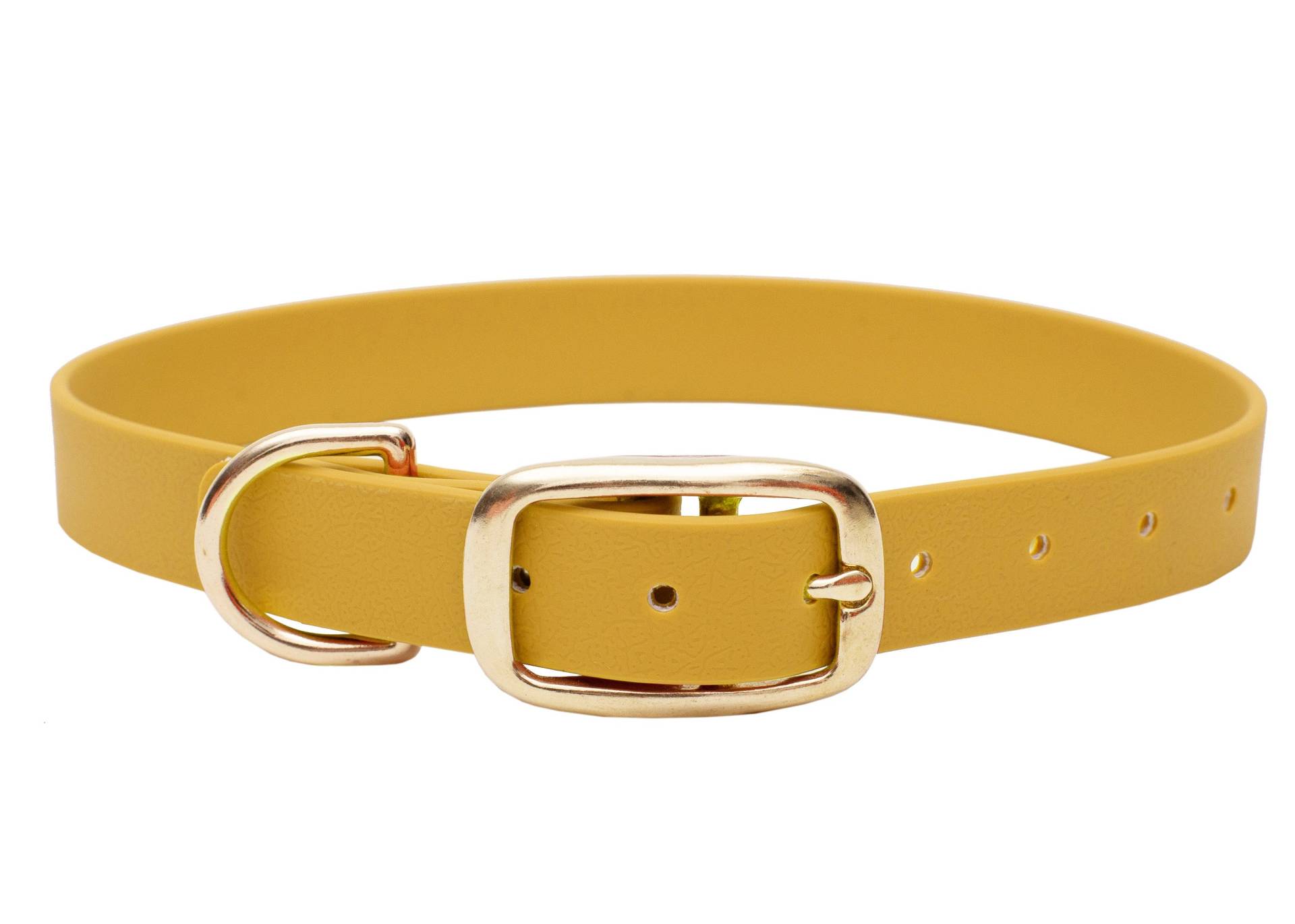 Biothane Halsband Sonnengelb XL (49-59cm) / 20mm / Gold von EMMY&PEPE