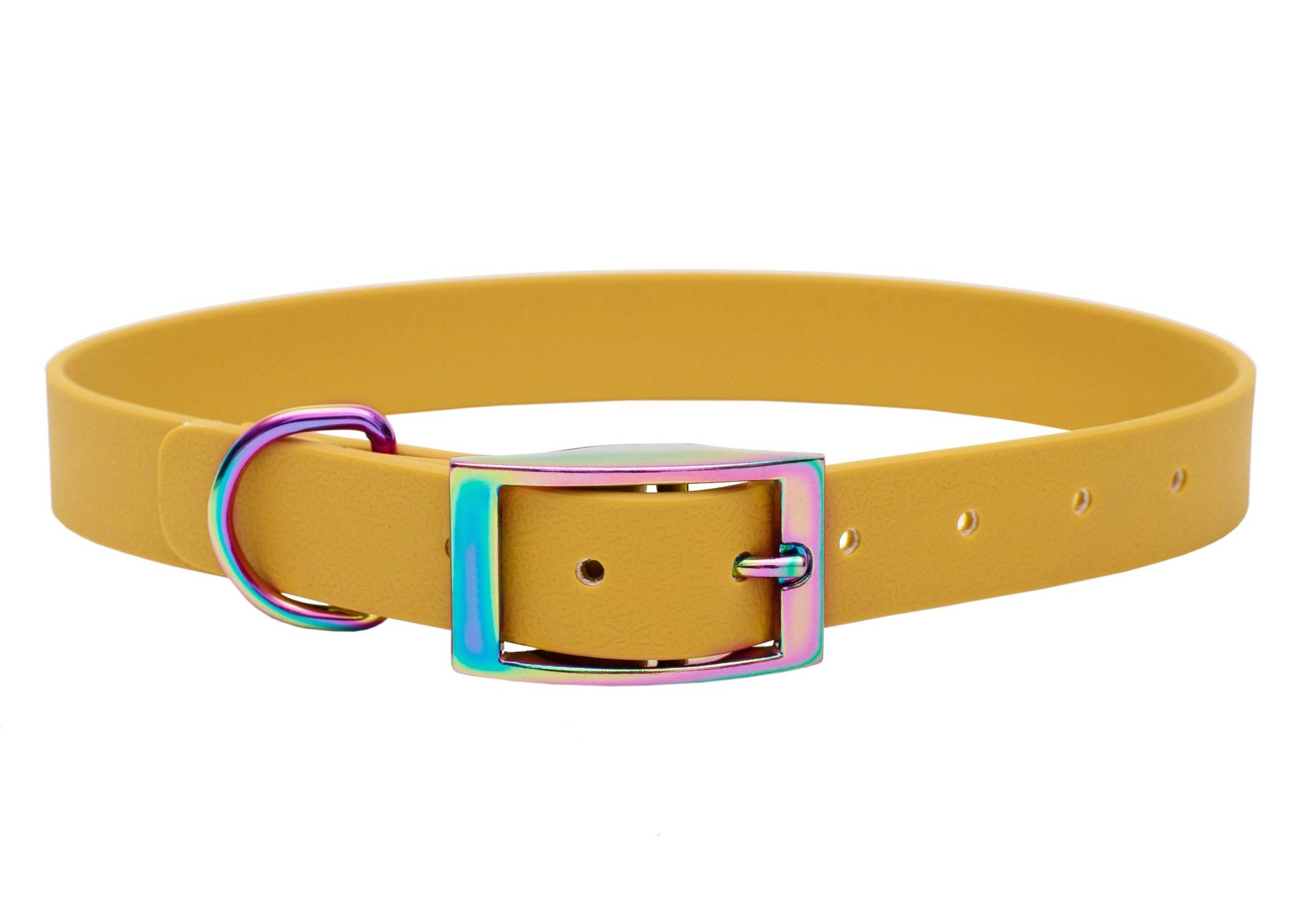 Biothane Halsband Sonnengelb XXL (59-69cm) / 25mm / Regenbogen von EMMY&PEPE