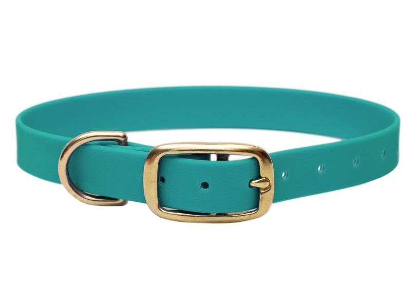 Biothane Halsband Türkis XL (49-59cm) / 25mm / Gold von EMMY&PEPE