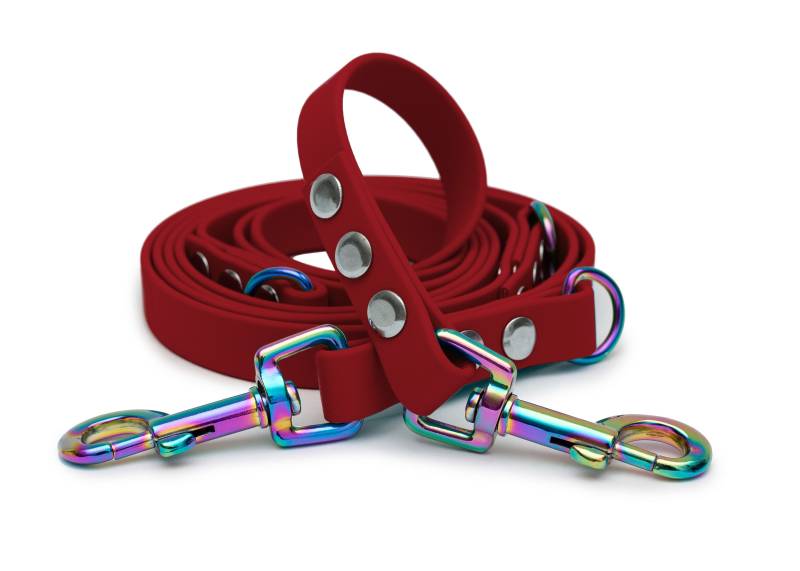 Biothaneleine Bordeaux 25mm / 2m / Bolzenkarabiner Regenbogen Biothaneleine Bordeaux 25mm / 2m / Bolzenkarabiner Regenbogen von EMMY&PEPE