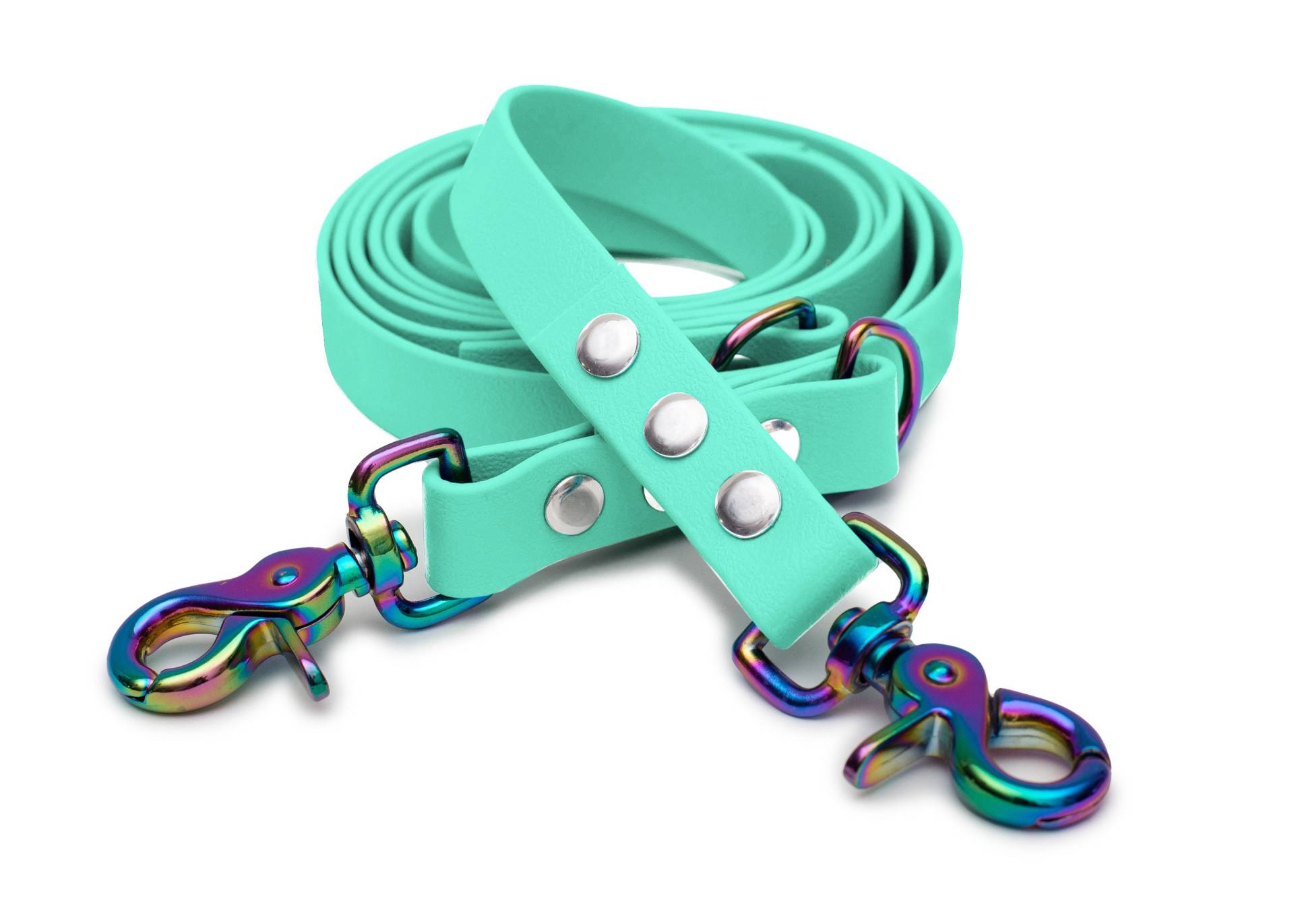 Biothaneleine Mint 20mm / 1.20m / Scherenkarabiner Regenbogen Biothaneleine Mint 20mm / 1.20m / Scherenkarabiner Regenbogen von EMMY&PEPE