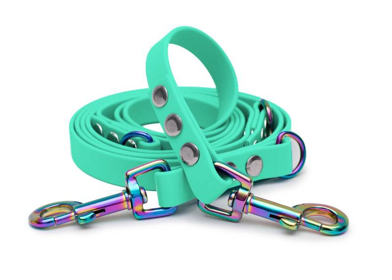 Biothaneleine Mint 20mm / 2.50m / Bolzenkarabiner Regenbogen Biothaneleine Mint 20mm / 2.50m / Bolzenkarabiner Regenbogen von EMMY&PEPE