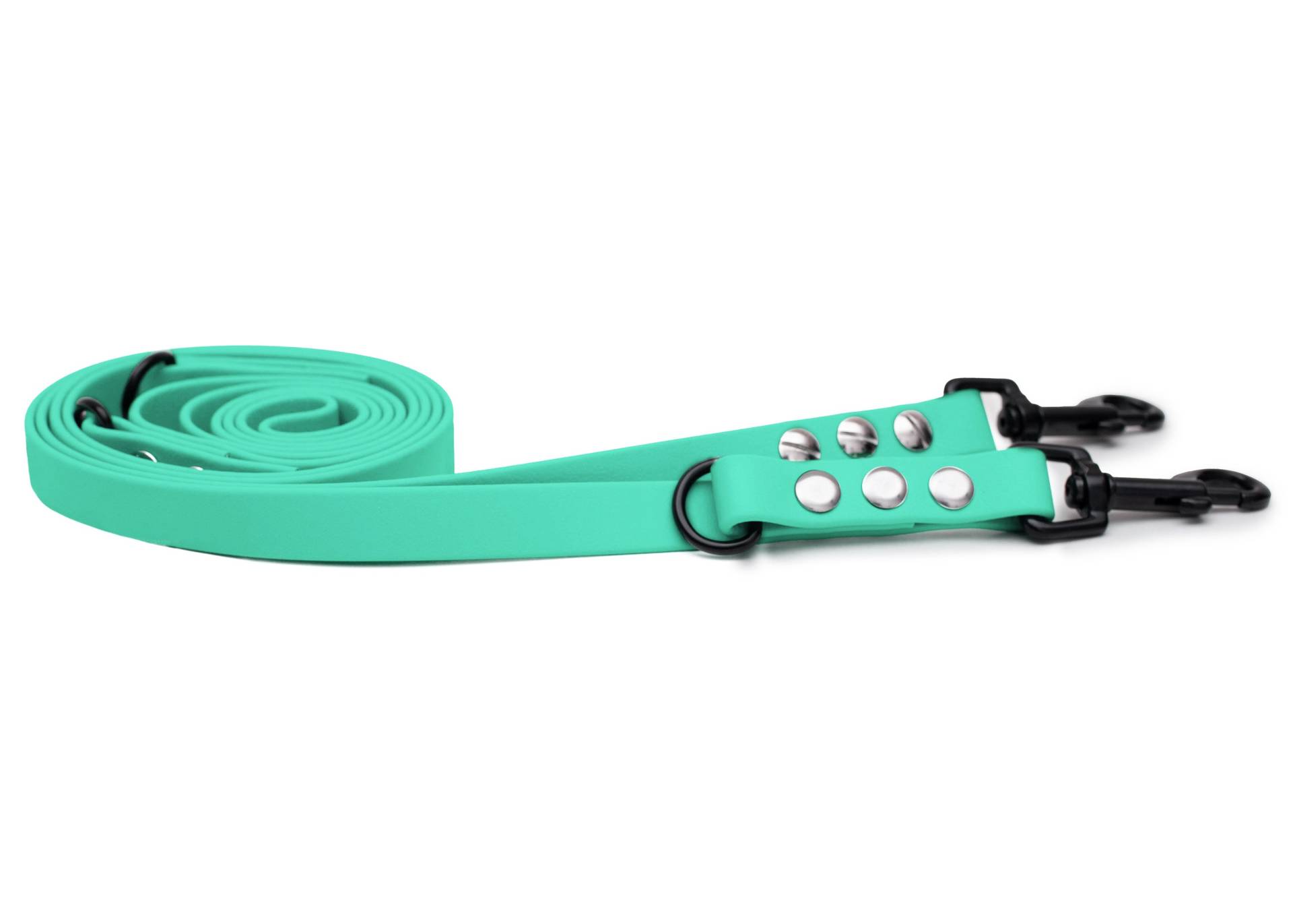 Biothaneleine Mint 20mm / Gold Biothaneleine Mint 20mm / Gold von EMMY&PEPE