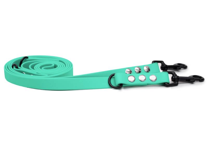 Biothaneleine Mint 25mm / 2m / Sicherheitskarabiner Gold von EMMY&PEPE