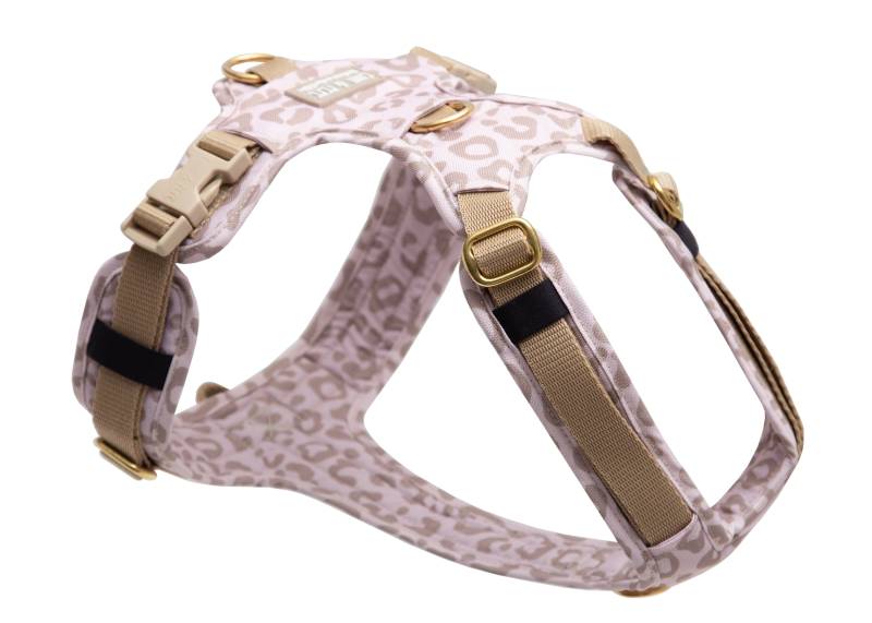 Hundegeschirr Leo Creme 2.0 S/M von EMMY&PEPE