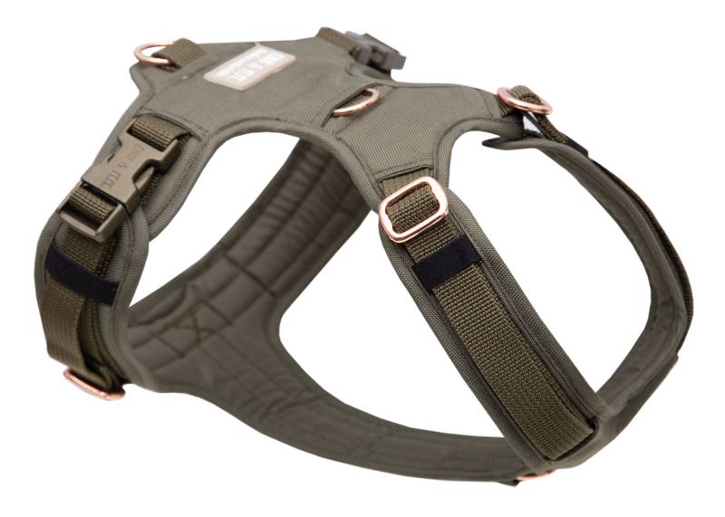 Hundegeschirr Lotte 2.0 L/XL von EMMY&PEPE