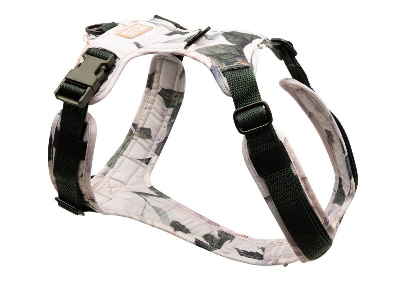 Hundegeschirr Magnolia L/XL von EMMY&PEPE