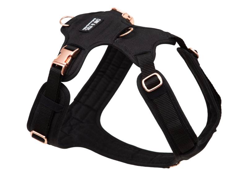 Hundegeschirr Tiffanys L Hundegeschirr Tiffanys L von EMMY&PEPE