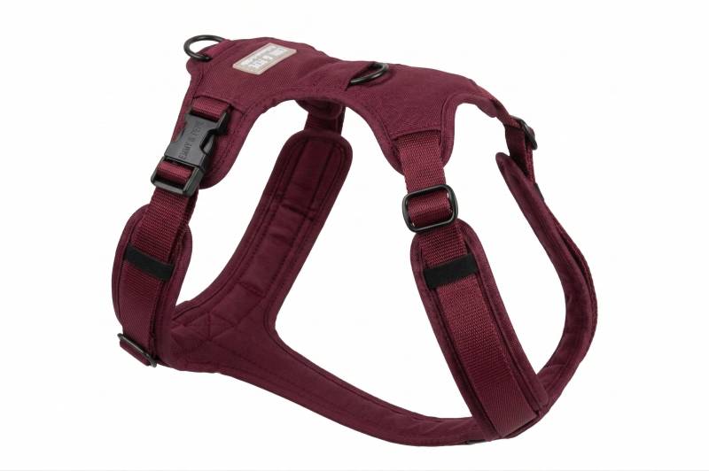 Hundegeschirr Velvet XXS von EMMY&PEPE