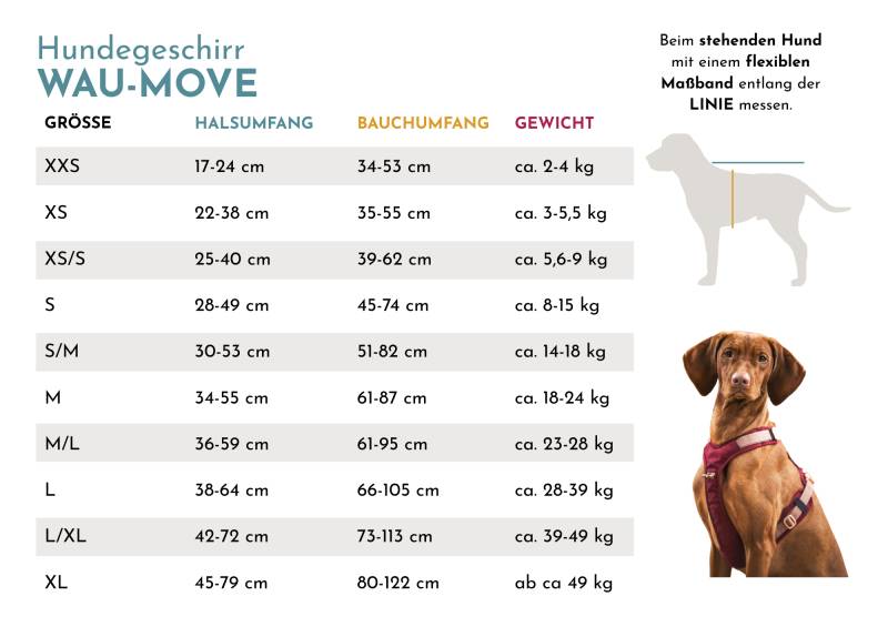 Hundegeschirr mit Halsöffnung Aqua L/XL von EMMY&PEPE