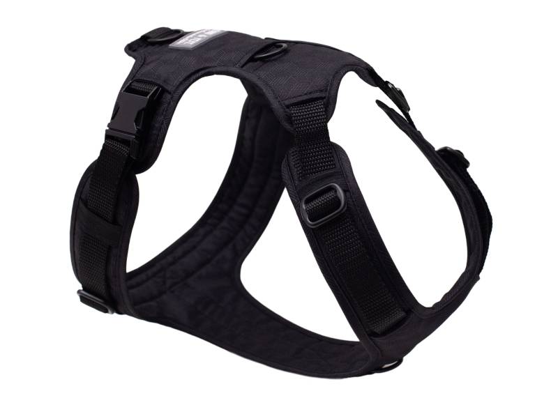 Hundegeschirr mit Halsöffnung Fröhliches Schwarz XL Hundegeschirr mit Halsöffnung Fröhliches Schwarz XL von EMMY&PEPE