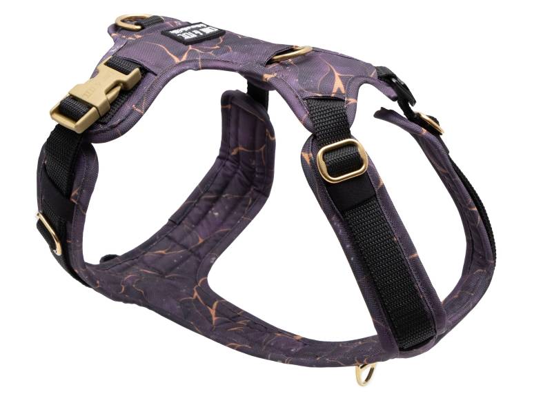 Hundegeschirr mit Halsöffnung Golden Plum L von EMMY&PEPE