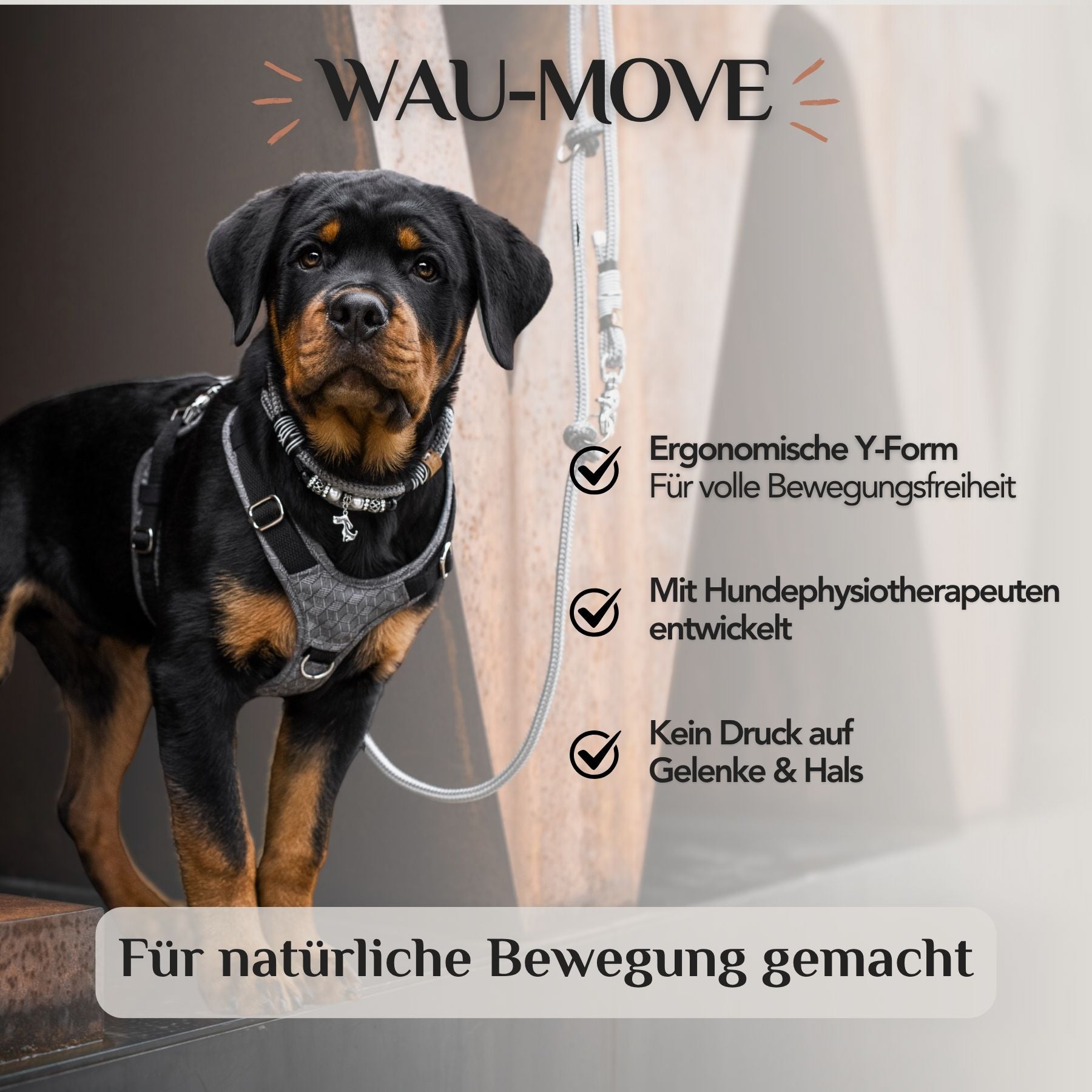 Hundegeschirr mit Halsöffnung Magnolia L/XL von EMMY&PEPE