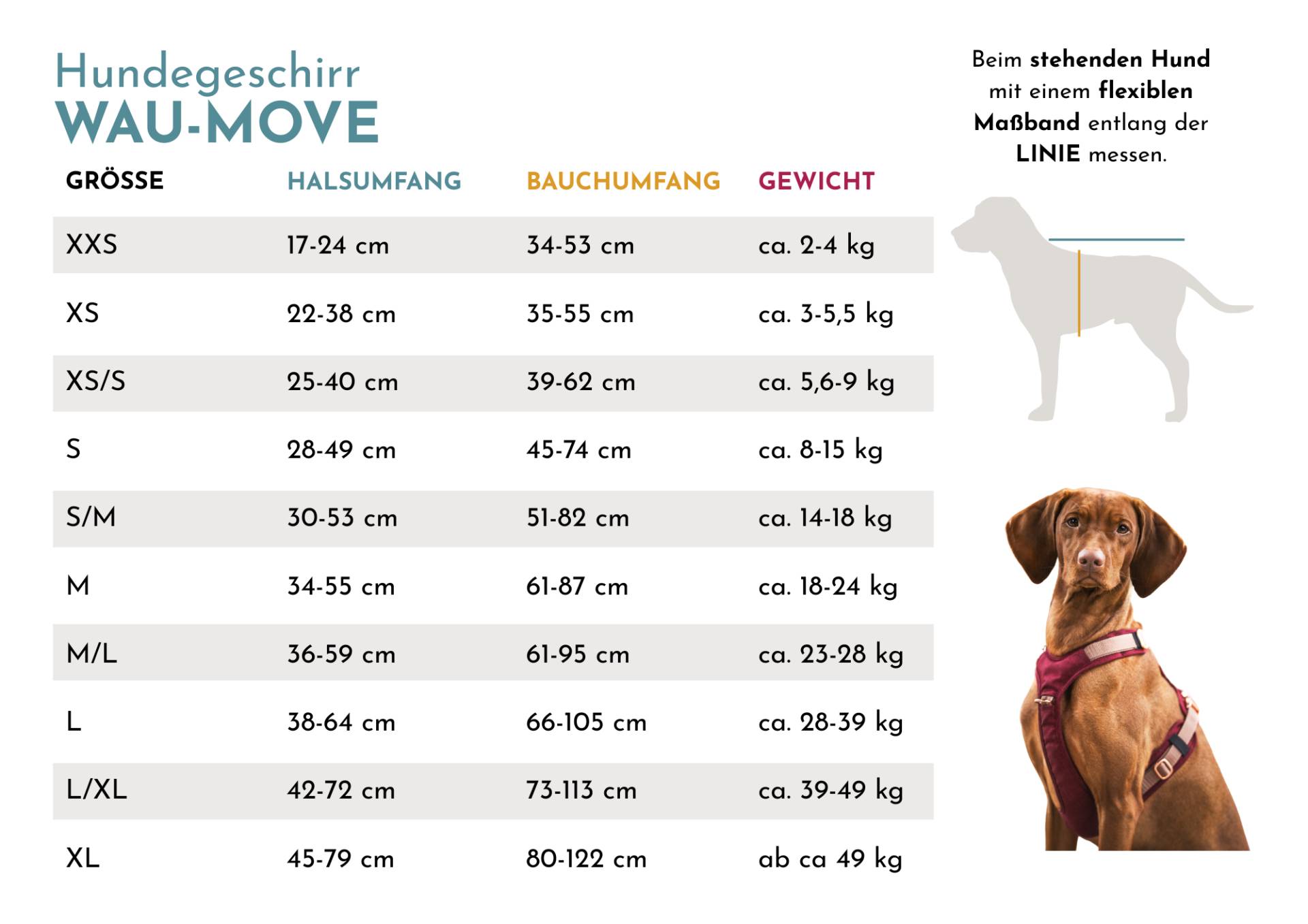 Hundegeschirr mit Halsöffnung Watson L/XL von EMMY&PEPE