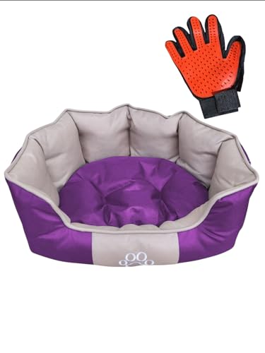 Hunde- und Katzenbett aus Oxford, bunt, weich, mit zweifarbigem Kissen, doppelseitig, waschbar, mit rutschfester Unterseite, 50 x 39 x 18 cm, kleine Größe, gratis Pflegehandschuh (Violett) von EMPOTEC