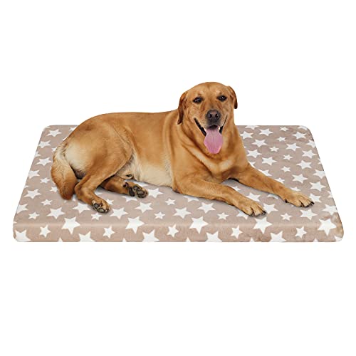 EMPSIGN Hundebett, Hundekissen passend für Käfige, Hundematte mit Abnehmbarem und waschbarem Bezug für große Hunde, Hundebett Wasserdicht XL 107x71cm, 6.6cm Höhe, Beige EMPSIGN Hundebett, Hundekissen passend für Käfige, Hundematte mit Abnehmbarem und waschbarem Bezug für große Hunde, Hundebett Wasserdicht XL 107x71cm, 6.6cm Höhe, Beige von EMPSIGN
