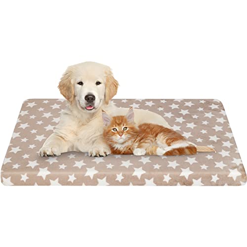 EMPSIGN Hundebett, Hundekissen passend für Käfige, Hundematte mit Abnehmbarem und waschbarem Bezug für kleine Hunde, Hundebett Wasserdicht S 61x46cm, 6.6cm Höhe, Beige EMPSIGN Hundebett, Hundekissen passend für Käfige, Hundematte mit Abnehmbarem und waschbarem Bezug für kleine Hunde, Hundebett Wasserdicht S 61x46cm, 6.6cm Höhe, Beige von EMPSIGN