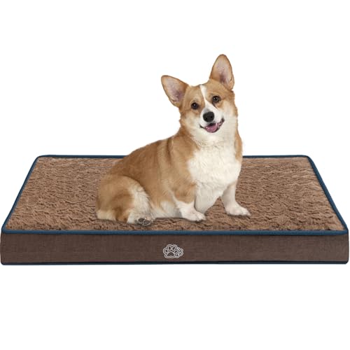 EMPSIGN Hundebett-Matte, 76,2 cm, wendbar, warm und kühl, waschbar, mit Schaumstoff-Unterstützung, Haustier-Schlafmatte für große, mittelgroße und kleine Hunde, Flauschiges Hundehütten-Pad (braun) EMPSIGN Hundebett-Matte, 76,2 cm, wendbar, warm und kühl, waschbar, mit Schaumstoff-Unterstützung, Haustier-Schlafmatte für große, mittelgroße und kleine Hunde, Flauschiges Hundehütten-Pad (braun) von EMPSIGN