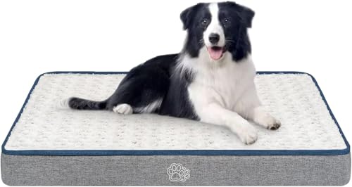 EMPSIGN Hundekissen Grosse Hunde waschbar, Hundebett Wasserdicht L 90x60x7,5cm, Hundematte Abnehmbar Bezug für Hundekäfig, Stützendes Schaumstoff-Haustierbett für Große Hunde EMPSIGN Hundekissen Grosse Hunde waschbar, Hundebett Wasserdicht L 90x60x7,5cm, Hundematte Abnehmbar Bezug für Hundekäfig, Stützendes Schaumstoff-Haustierbett für Große Hunde von EMPSIGN